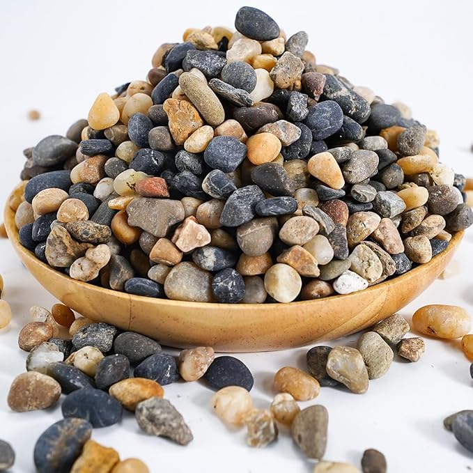 TOYPOPOR 6lbs Natural River Rocks, Succulent Cactus Gravel by TOYPOPOR