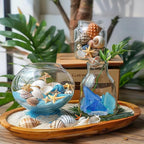Natural Mixed Seashells Conch Starfish Sea Glass 1-2.8 Inch, 16.5 OZ | Bulk - Image 3