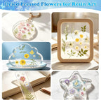 284 Pcs Dried Pressed Flowers - Image 6