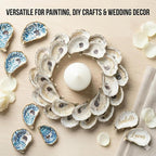 20PCS 4"-5" Large Oyster Shells - Image 7