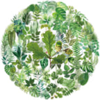 Transparent Flora Leaf Scrapbook Stickers Plant Leaf Stickers | Transparent & - Image 3