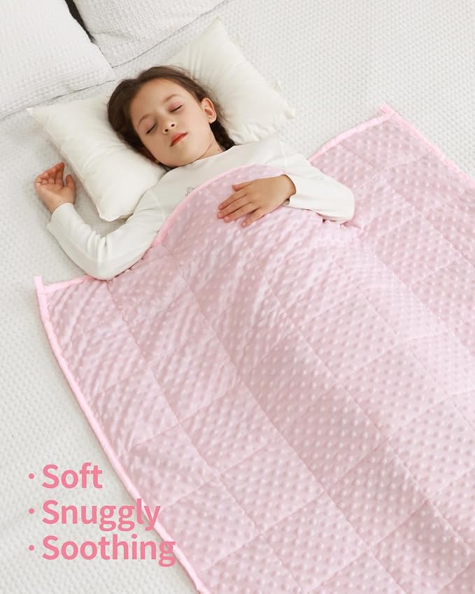 Mr. Sandman Weighted Blanket 5LBS 36 x 48 Inches, Minky Dots Heavy Blanket - Image 7