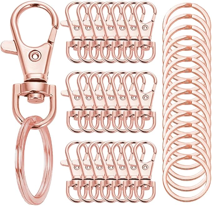 100 Pcs Keychain Hooks with Key Rings, Keychain Clip Hooks with Rings by Segauin
