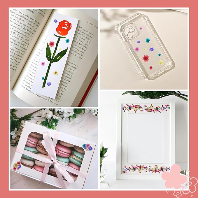 1000 PCS Mini Dried Flowers for Resin, Small Dried Flowers for Crafts, - Image 5