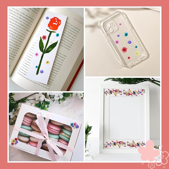 300 PCS Mini Dried Flowers for Resin, Small Dried Flowers for Crafts, - Image 4