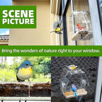 WENMIXER Window Bird Feeder - Image 6