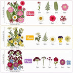 180 pcs Dried Flowers for Resin, Natural Flowers and Leaves Kit - Image 3