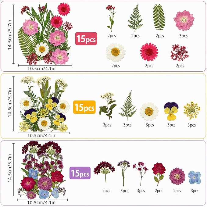 180 pcs Dried Flowers for Resin, Natural Flowers and Leaves Kit - Image 3