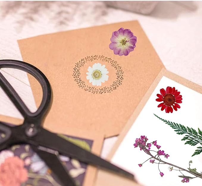 Woohome 160PCS Real Pressed Flowers, Dried Pressed Flowers Colorful Real - Image 7