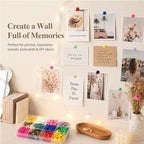 12 Colors Thumb Tacks 264PCS Plastic Round Head Thumbtack Metal Flat Push Pins - Image 7