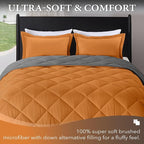 downluxe Twin Comforter Set - Image 2