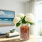 QYGL Sea Glass Stones - Image 4