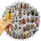 50 PCS Realistic Beetle Stickers - Image 9