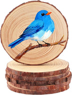 FSWCCK 6 PCS Unfinished Wood Slices by FSWCCK