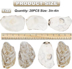 20 PCS Flat Oyster Shells for Crafts 3"-5" Natural Oyster Shells Bulk, for Home - Image 3
