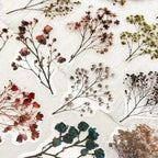 50PCS Vintage Dried Flower Stickers, Aesthetic Plant Decals - Image 4