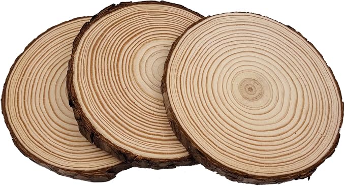 Unfinished Natural with Tree Bark Wood Slices 8 Pcs 5.5-6 inch Disc Coasters - Image 3