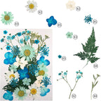 90 Pcs Real Dried Pressed Flowers and Leaves Natural Dried Petals - Image 2