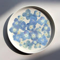 48 Pcs Dried Pressed Flowers for Resin DIY Art Crafts Natural Dry Hydrangea by TopFunny