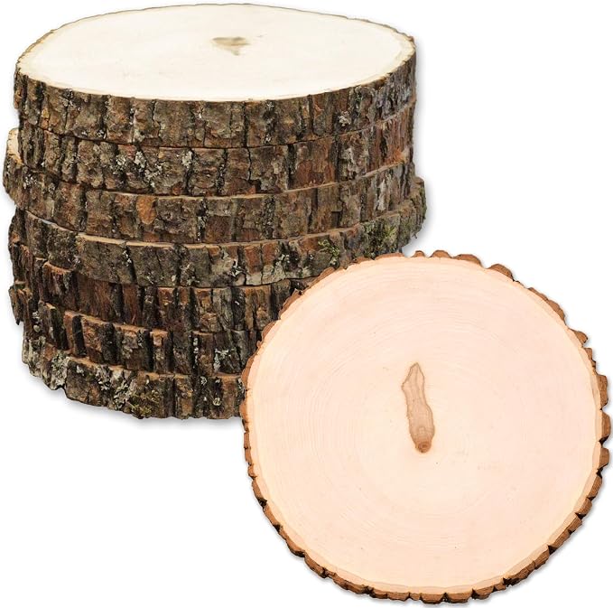 Wilson 8 Pack Basswood Round Rustic Wood Slice, Sanded Side, 9-12" Diameter by Wilson