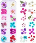 60Pcs Small Dried Pressed Flowers by Unknown