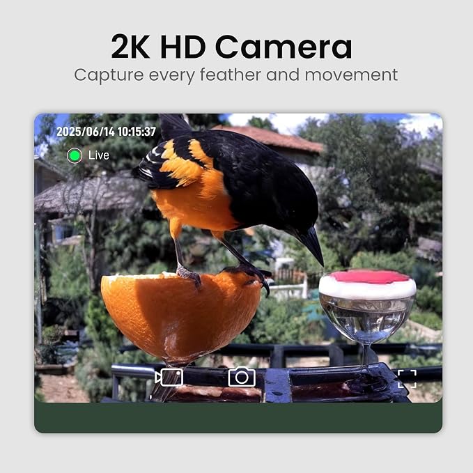 Smart Bird Feeder with Camera Solar Powered, 2K HD Video, AI Bird Species - Image 2