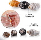 500pcs Natural Tiny Small Seashells - Image 6