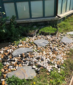 FANTIAN 20 lbs Pebbles for Indoor Plants, 0.8-1.2 Inch Polished River Rocks - Image 6