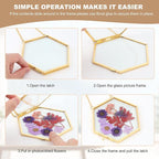 Lujechii 3 Pcs Double Glass Pressed Flower Frame, - Image 5