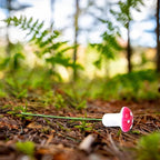 MIDELONG Mini Mushrooms Tiny Figurines Miniatures Colorful Mushrooms Garden - Image 5