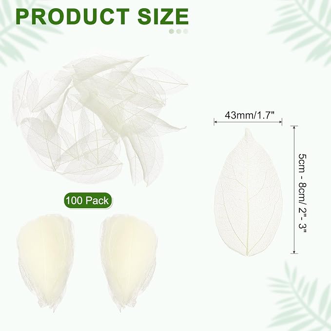 uxcell 100 Pcs White Skeleton Leaves - Image 2