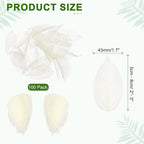 uxcell 100 Pcs White Skeleton Leaves - Image 2