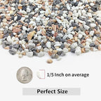 YISZM 2LB Succulent and Cactus Gravel Pebbles, 1/5 Inch Natural Decorative - Image 2