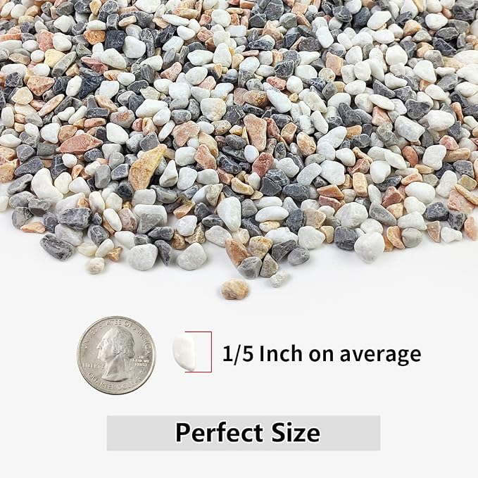 YISZM 2LB Succulent and Cactus Gravel Pebbles, 1/5 Inch Natural Decorative - Image 2
