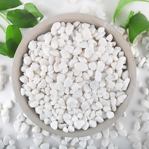 Mulctun 6Lb White Rocks for Plants, 1/4"-3/4" White Pebbles, Decorative Stones by Unknown