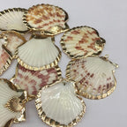 20pcs Natural Shell Pendants Charms Necklace Trendy Pendant - Image 3