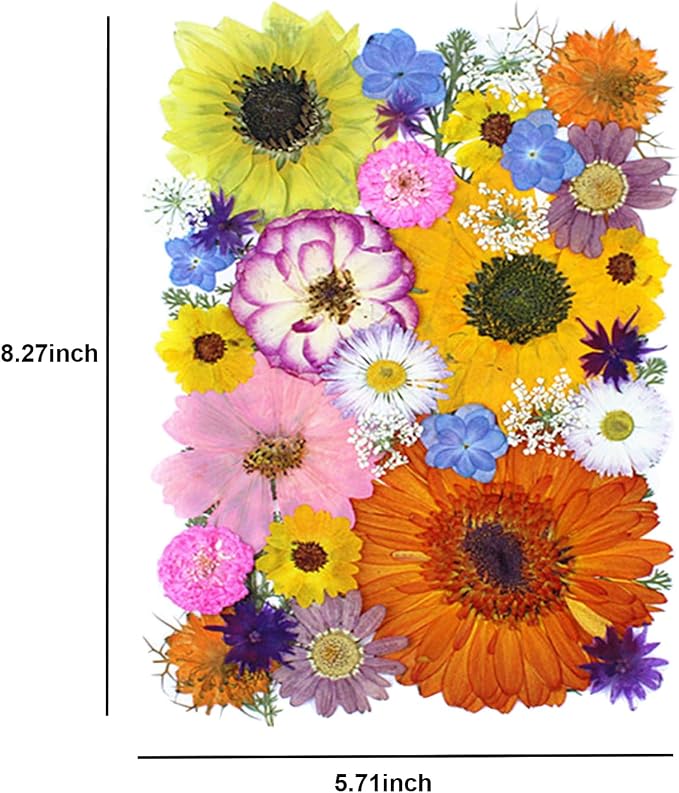 35Pcs Dried Pressed Flowers for Crafts Resin DIY Art Natural Dry Floral Large - Image 4
