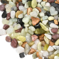 5 lb Pebbles for Indoor Plants, 3/8 Inch Decorative Rocks for Potted Plants by RUOJAS