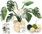 OEHPICC Needle Felting Kit for Beginners, Monstera Potted Plant Felt Kit | Wool by OEHPICC
