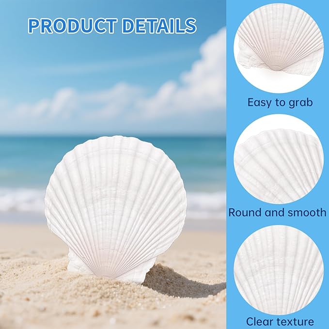 20PCS Large Scallop Shells for Crafts, 4-5 Inch Natural Sea Shells for - Image 3