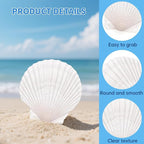 36PCS Natural Scallop Shells for Crafts, 2-3 Inch White Sea Shells for - Image 3