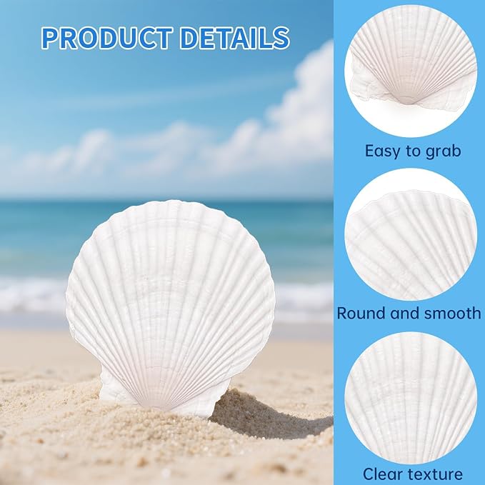 36PCS Natural Scallop Shells for Crafts, 2-3 Inch White Sea Shells for - Image 3