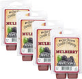 Our Own Candle Company Premium Wax Melt, Mulberry Scent, Handmade in The USA, 24 Cubes (4 Pack, 9.6oz Total)