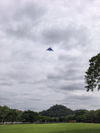 B2 Model Airplane Kite, Large Easy to Fly Kites Adults, 300FT String Reel - Image 5