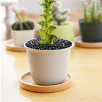Pulovin 2.5 lbs Black Pebbles for Indoor Plants, 3/8" Plant Rocks for Pots - Image 5