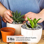 YISZM 5LB Succulent and Cactus Gravel Pebbles, 1/5 Inch Natural Decorative - Image 4