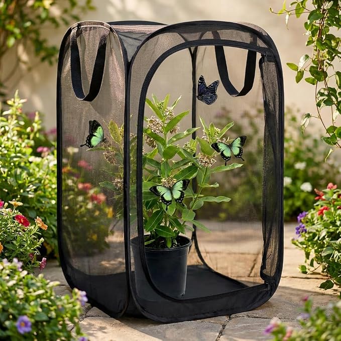 Insect & Butterfly Habitat Cage, Portable Pop-Up Terrarium - Image 6