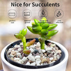 FANTIAN 2 lbs Natural Mixed Color Pea Gravel Pebbles, 3/8 inch Decorative Rocks - Image 5