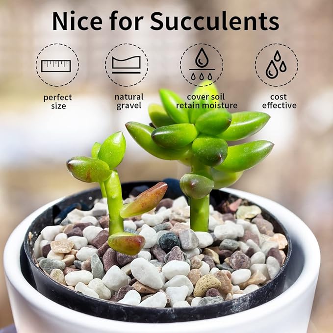 FANTIAN 2 lbs Natural Mixed Color Pea Gravel Pebbles, 3/8 inch Decorative Rocks - Image 5