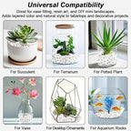 Succulent Rocks, Virekm River Rocks, Decorative Ornamental Pebbles, Garden - Image 7